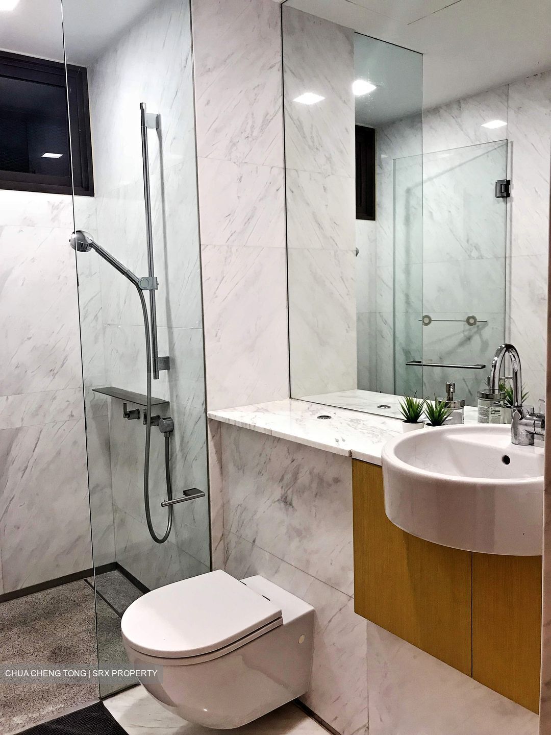 Newton Suites (D11), Apartment #368627531